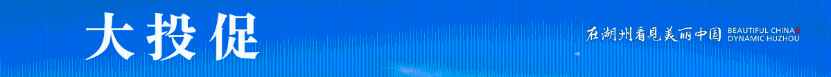 大投促